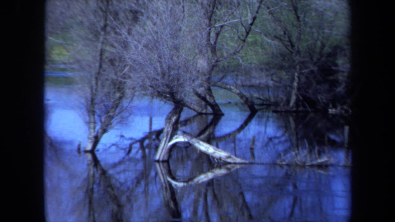 1971 Maine 8mm frame showing leafless trees partly submerged in blue-toned water with branches reflected on the surface.