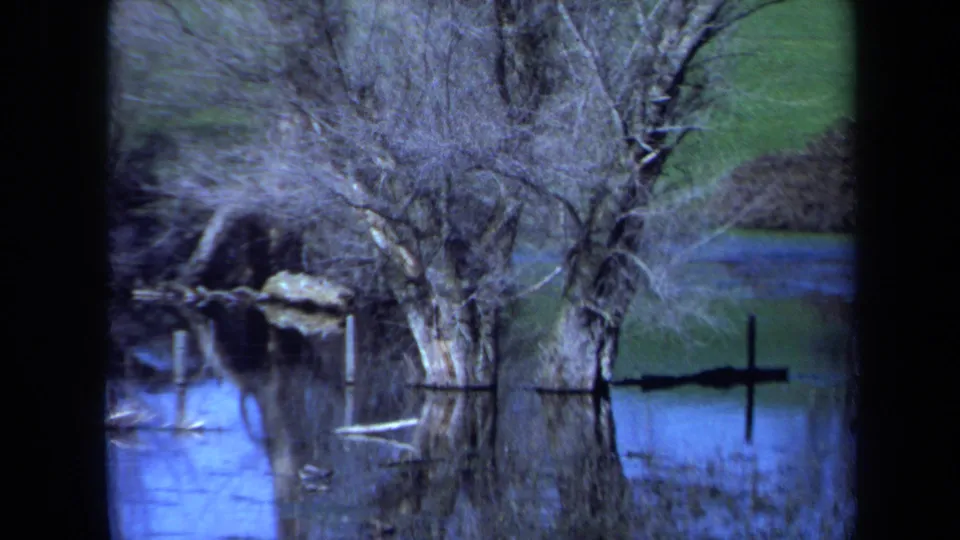 1971 Maine 8mm frame showing a closer flooded tree line, reflected trunks, pale branches, and a green bank beyond the water.