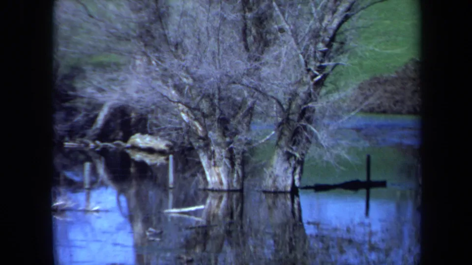 1971 Maine 8mm frame showing flooded bare trees, a dark branch or post across the water, and blue reflections near a grassy bank.