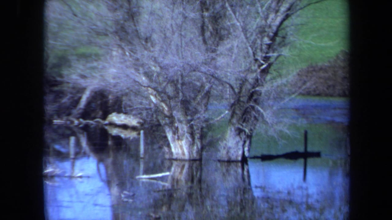 1971 Maine 8mm frame showing a leafless tree and brush reflected in flooded water, with grassy ground beyond.