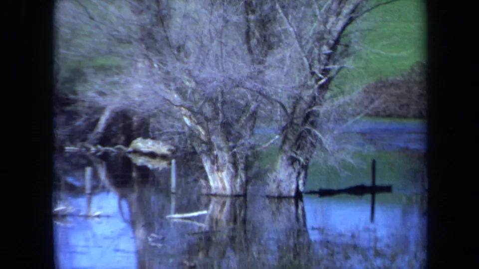 1971 Maine 8mm frame showing a leafless tree and brush reflected in flooded water, with grassy ground beyond.
