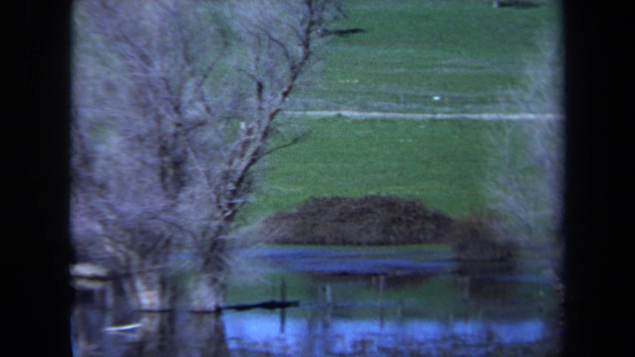1971 Maine 8mm frame with bare trunks, low brush, and fence-like posts reflected in blue water below a green hillside.