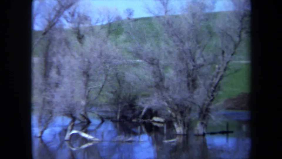 1971 Maine 8mm frame showing a closer view of bare trees in blue floodwater, with tangled branches and a grassy rise in back.