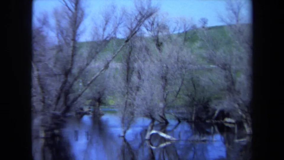 1971 Maine 8mm frame of submerged trunks and tangled branches reflected in still blue water below an open green hill.