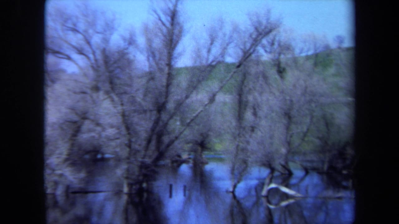 1971 Maine 8mm frame of leafless trees rising from calm blue water, with a grassy field and low hills in the background.