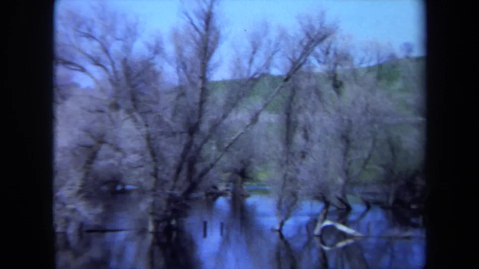 1971 Maine 8mm frame of leafless trees rising from calm blue water, with a grassy field and low hills in the background.