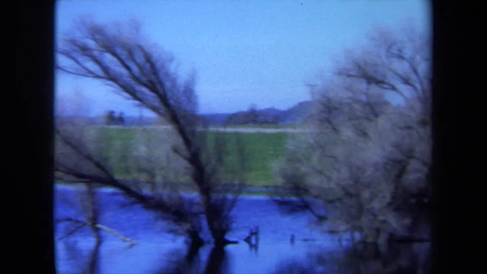 1971 Maine 8mm frame showing a leaning bare tree over blue water, with a green field and low horizon in the background.