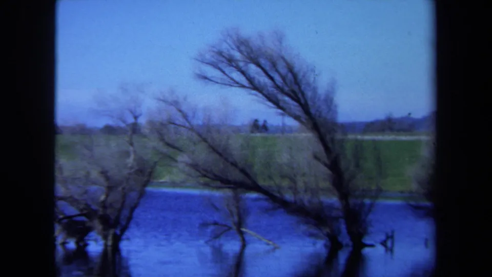 1971 Maine 8mm frame of bare branches beside a blue lake, with green pasture-like land and a distant tree line beyond.
