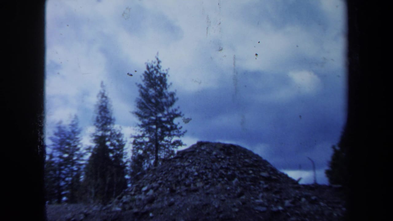 Dark stone pile and tall trees under a cloudy sky, seen through the film frame edge.