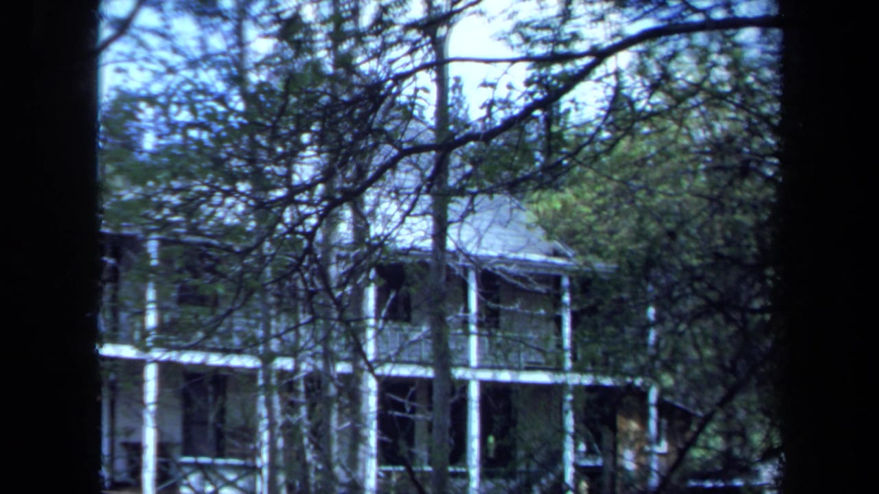 House facade and porch columns partly hidden by branches and a central dark trunk.