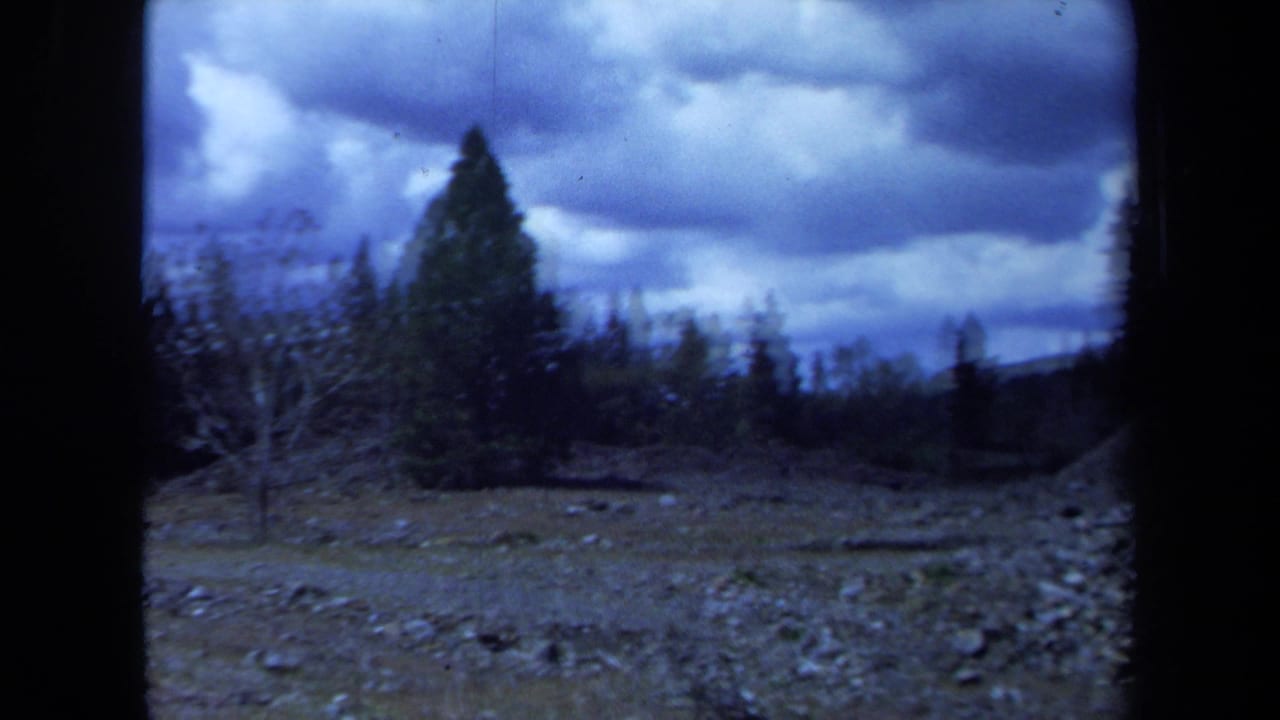 Rocky clearing with evergreen trees beneath a dark overcast sky.