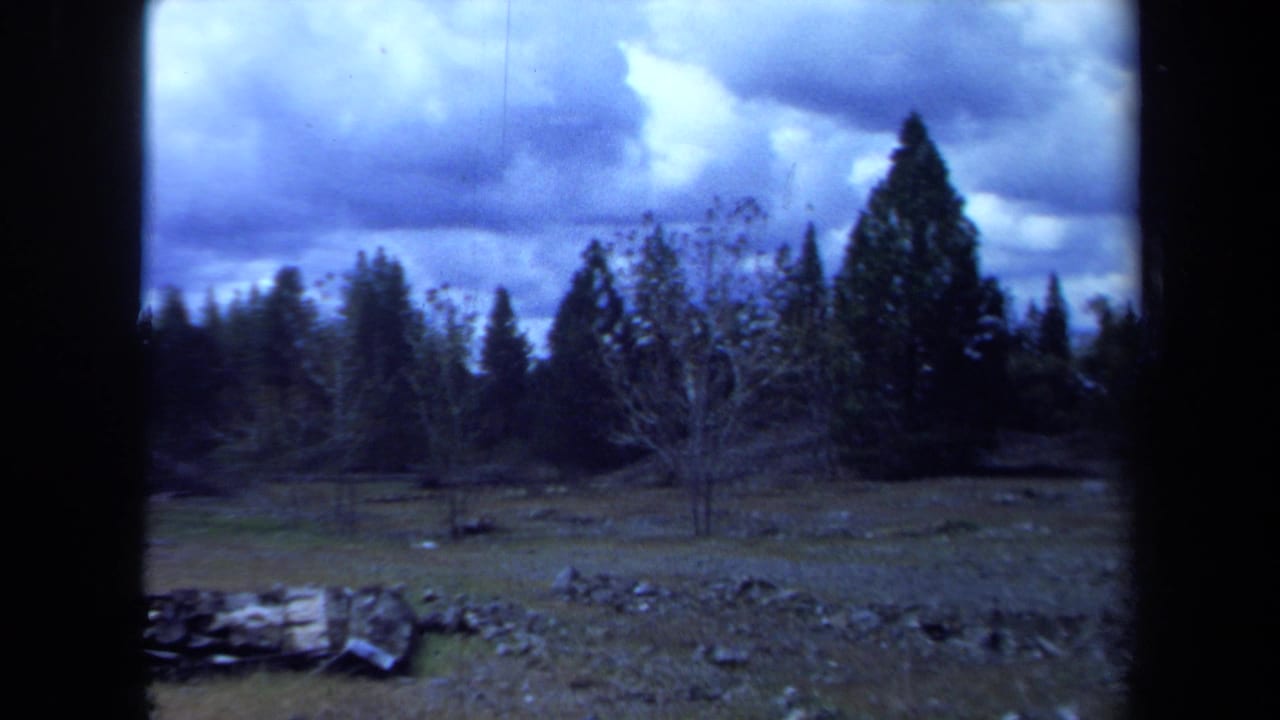 1971 Maine home-movie frame with evergreens, thin bare trees, scattered stones, and a dim blue overcast sky.