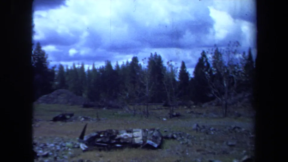 1971 Maine 8mm frame showing a weathered log or debris on rocky ground before a stand of evergreens and bare saplings.