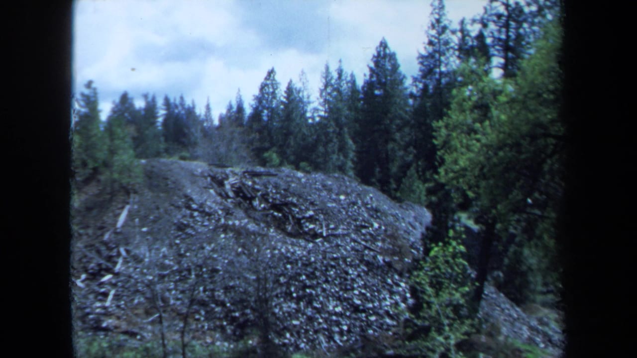 Rocky outcrop and tall trees seen through dark film-frame borders.