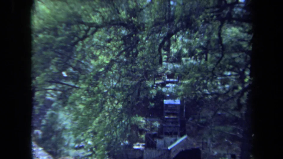 1971 Maine home-movie view of trees and a distant wooden water-wheel or mill-like feature, partly obscured by foliage.