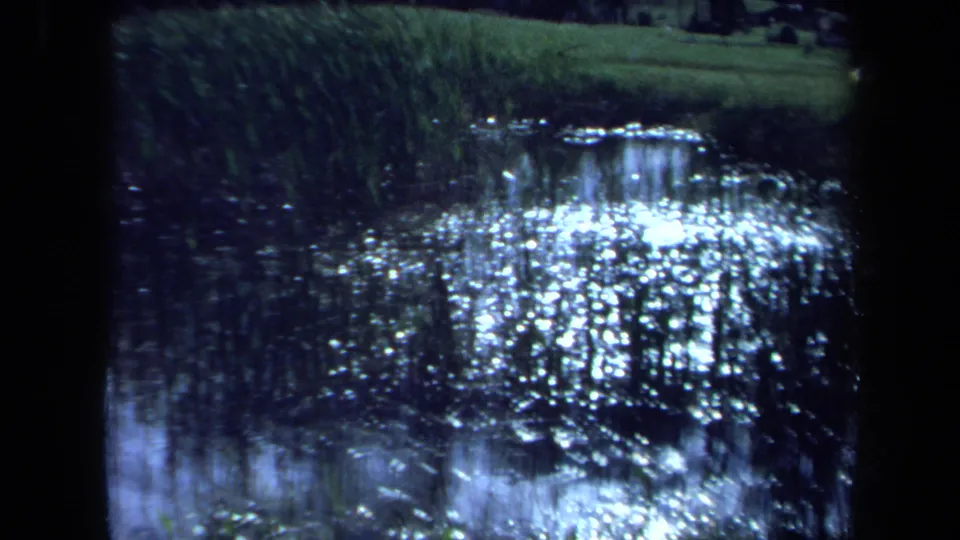 The final frame holds on reflective pond water, reeds, and a grassy bank in the same 1971 Maine outdoor home-movie scene.
