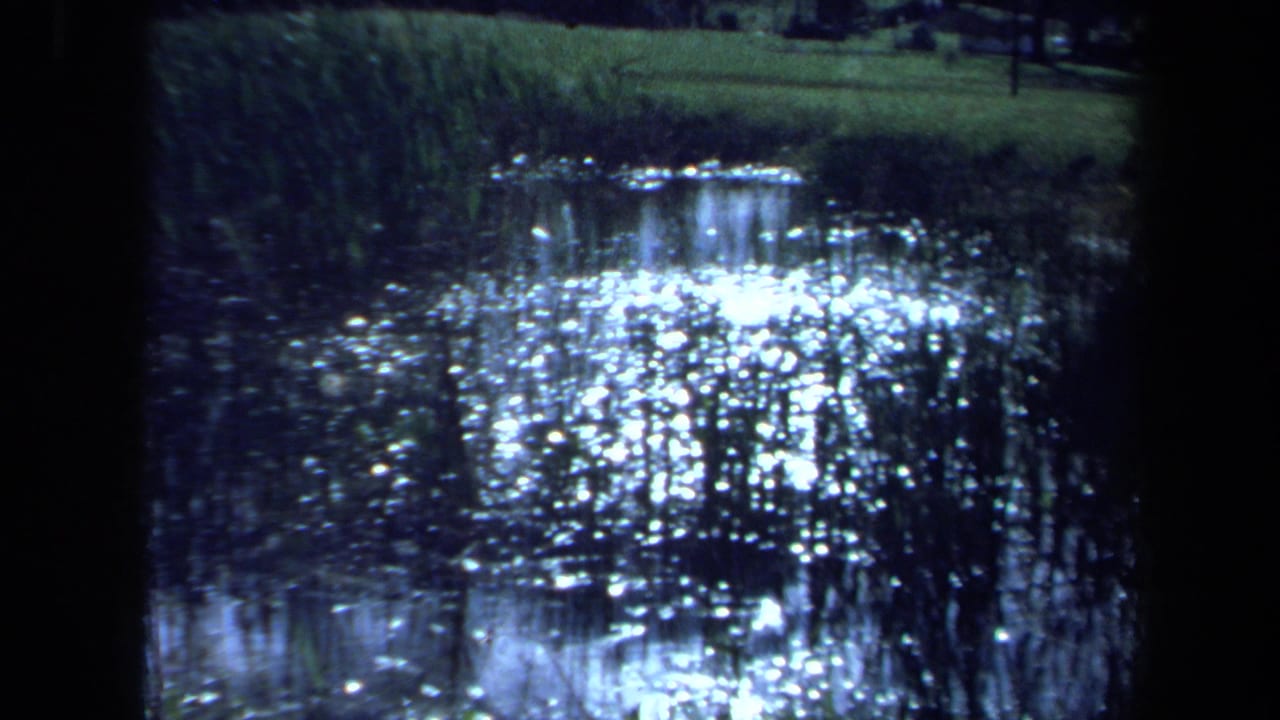 Maine 1971 home-movie frame of bright sun reflections on pond water with reeds along the bank and dark film borders.