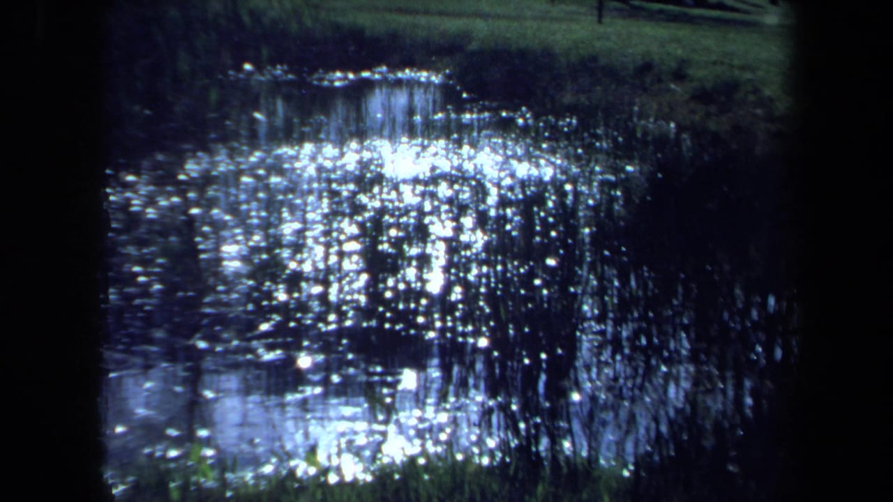 Bright reflections on pond water beside reeds and grass.