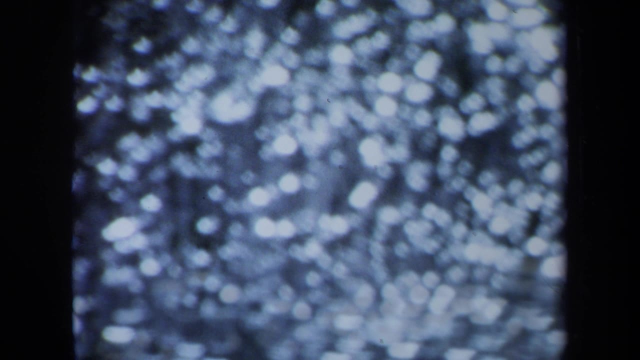 1971 Maine 8mm frame showing abstract reflected light through trees, with dark vertical forms and soft blue-white highlights.