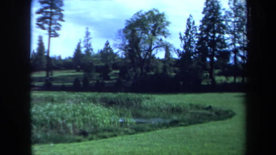1971 Maine home-movie landscape with green grass, a small pond or wetland edge, shrubs, and tall trees beneath a pale sky.