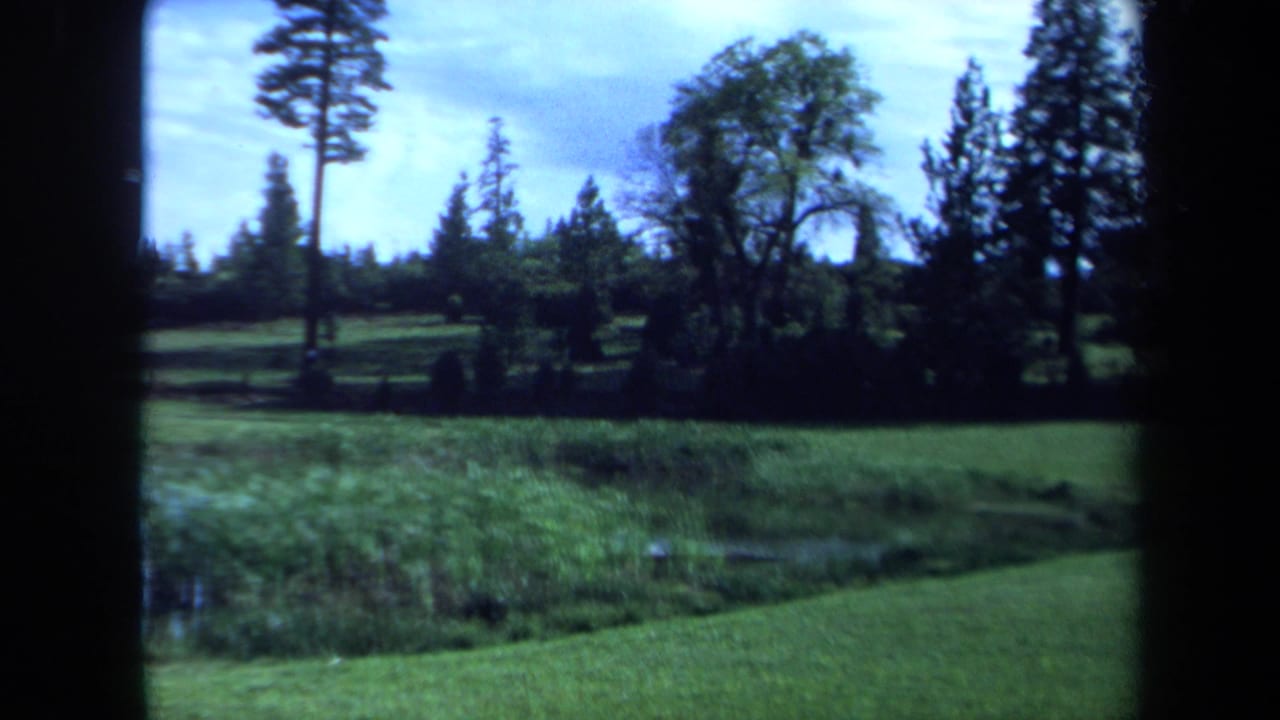 Meadow pond with reeds, green grass, evergreens, and blue sky seen through 8mm frame edges.
