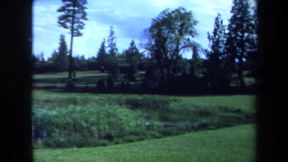 1971 Maine 8mm view of a grassy meadow and pond bordered by reeds, with pine and evergreen trees under a bright sky.