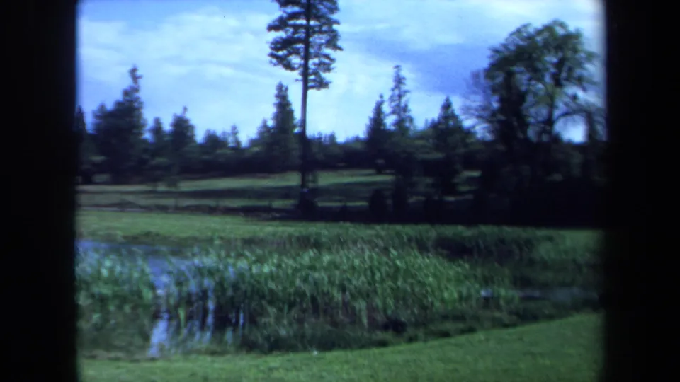 1971 Maine landscape frame showing pond reeds, open meadow grass, tall pines, and a tree line beneath scattered clouds.
