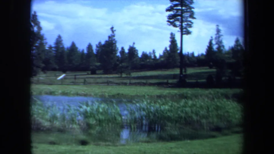 1971 Maine home-movie frame with pond reeds, a green field, a low fence, and evergreen trees in a quiet rural setting.