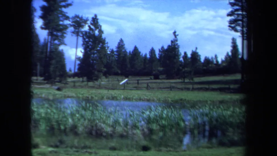 1971 Maine 8mm frame looking across pond reeds toward a fenced meadow and a line of pine and evergreen trees.