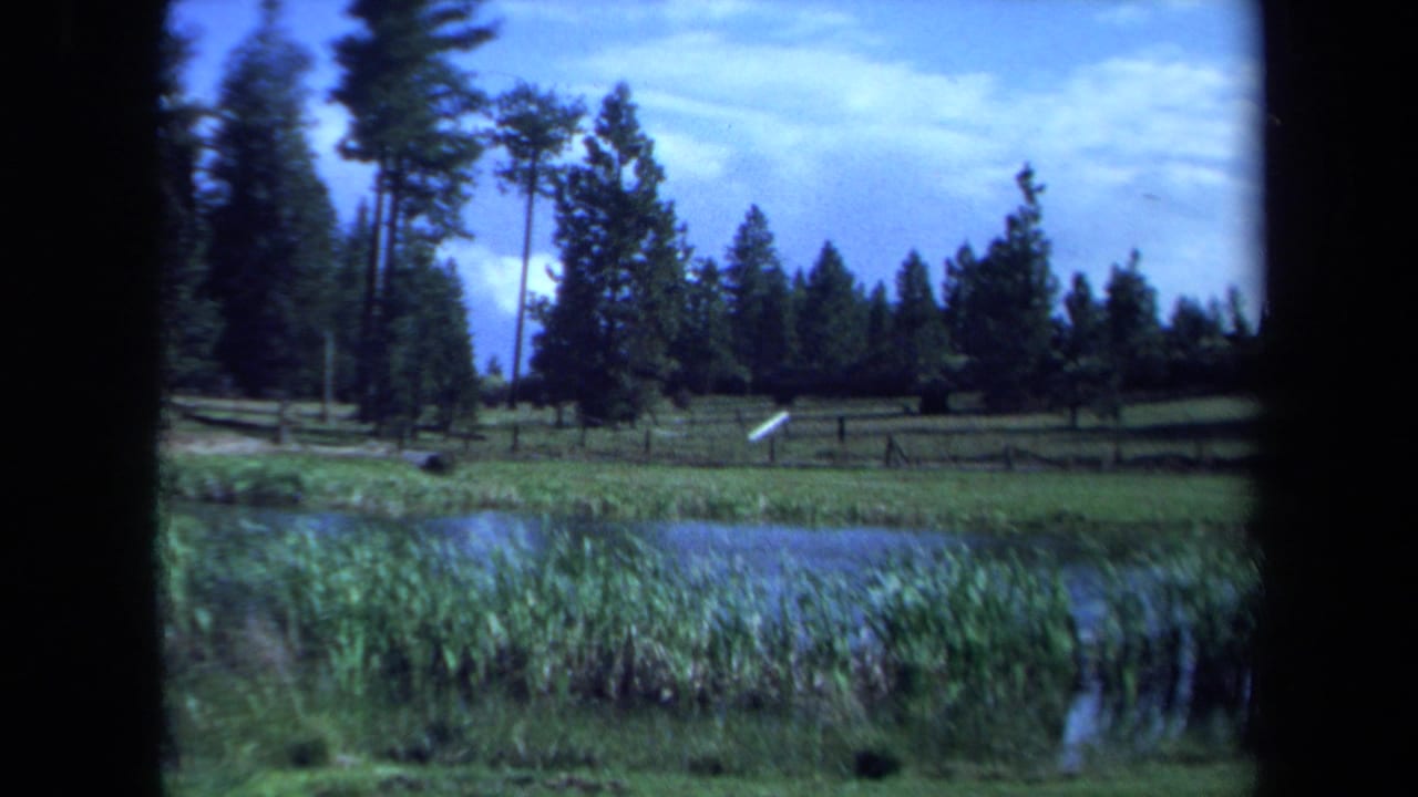 1971 Maine 8mm frame showing a marshy pond edge, reeds, grass, and evergreen trees beneath a bright blue sky.