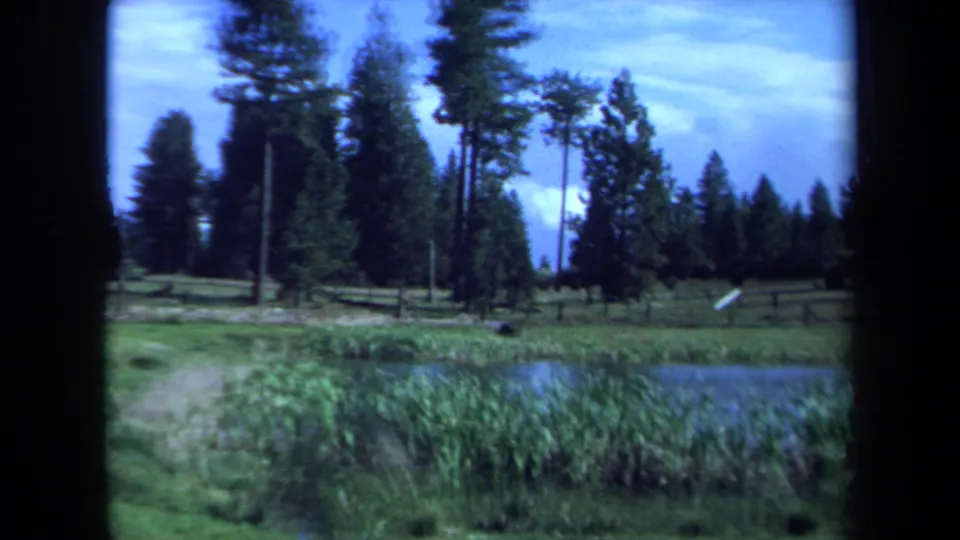 1971 Maine home-movie frame with a wetland foreground, evergreen tree line, blue sky, and heavy dark gate edges.