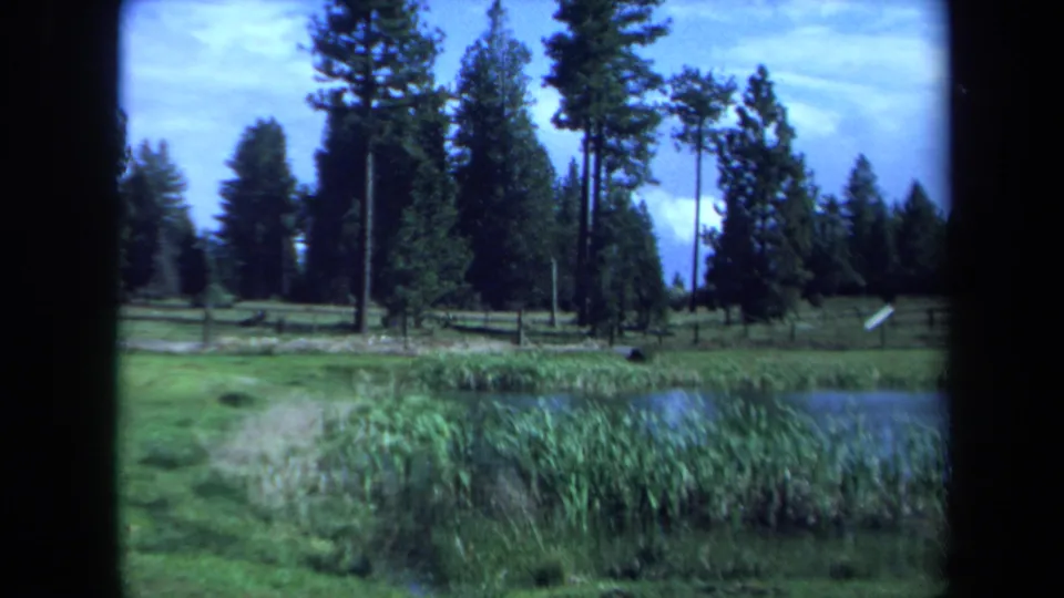 1971 Maine 8mm frame showing reeds, water, grassy ground, and tall evergreens in a rural outdoor landscape.