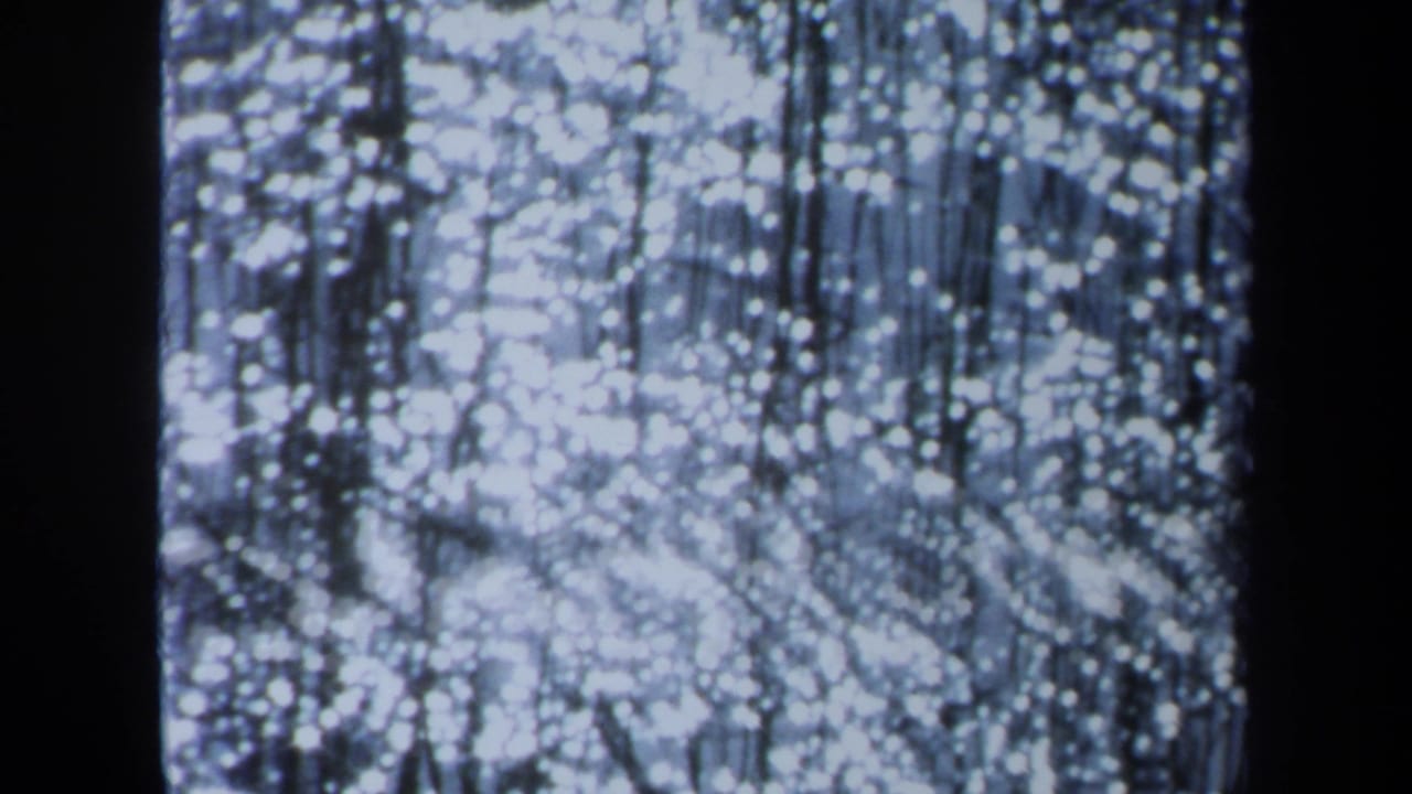 1971 Maine 8mm frame showing bright sun glints across rippled water with dark vertical tree reflections.