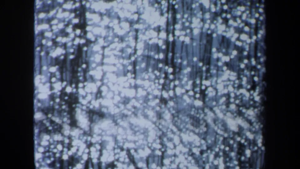 1971 Maine 8mm frame showing bright sun glints across rippled water with dark vertical tree reflections.
