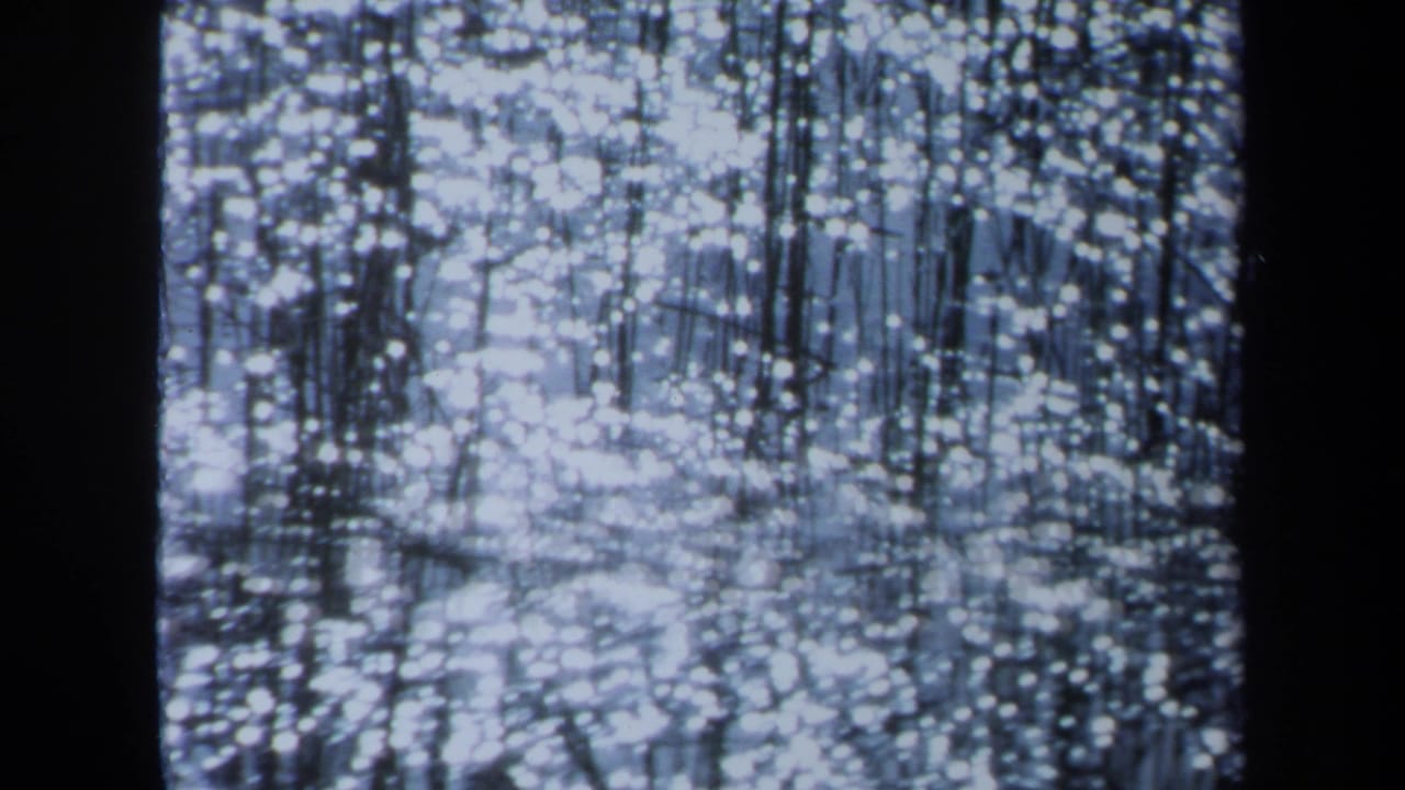 1971 Maine 8mm frame with slender tree reflections distorted by a sparkling lake or river surface.
