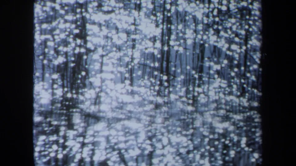 1971 Maine 8mm frame with slender tree reflections distorted by a sparkling lake or river surface.