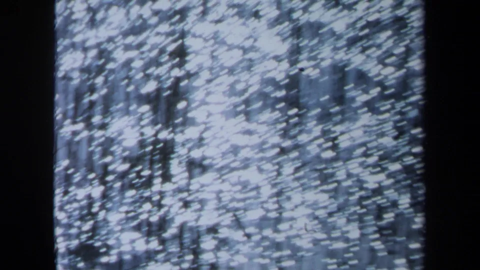 1971 Maine 8mm frame where ripples and exposure create an abstract pattern of reflected trees and light.