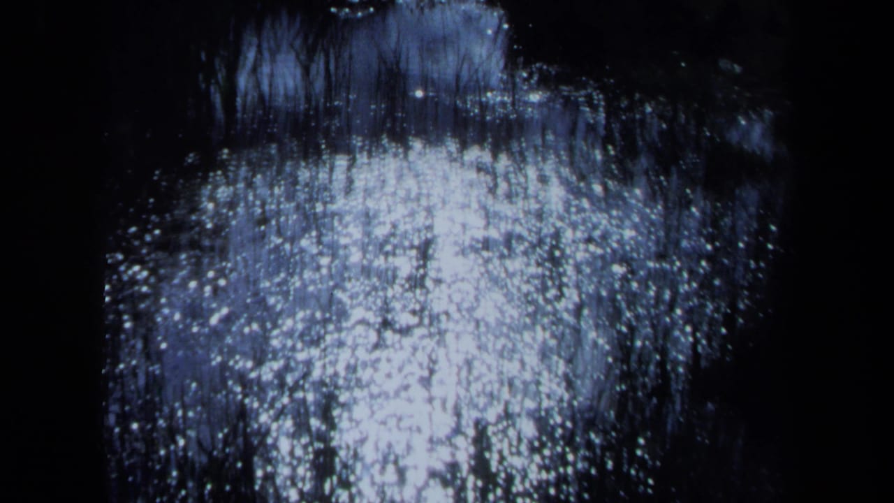1971 Maine 8mm frame showing bright glare across water or wet vegetation in a dark outdoor setting.