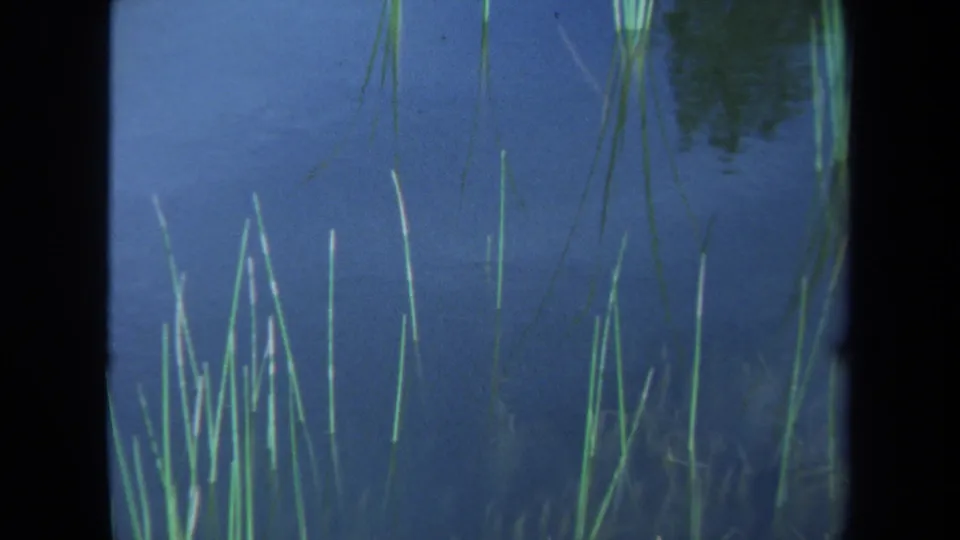 1971 Maine 8mm frame showing a closer pond detail with green reeds, faint reflections, and dark gate borders.