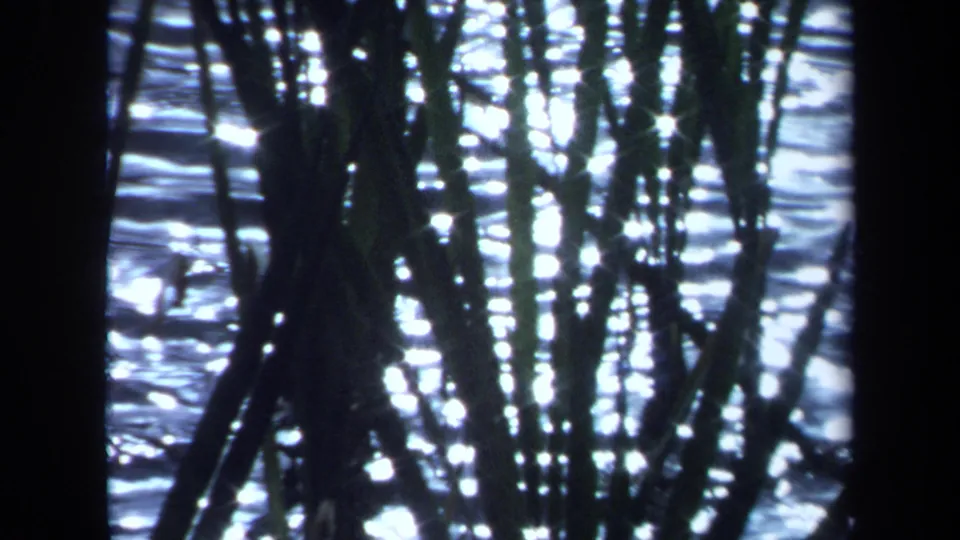 1971 Maine frame showing silhouetted reeds or twigs against bright shimmering water reflections.