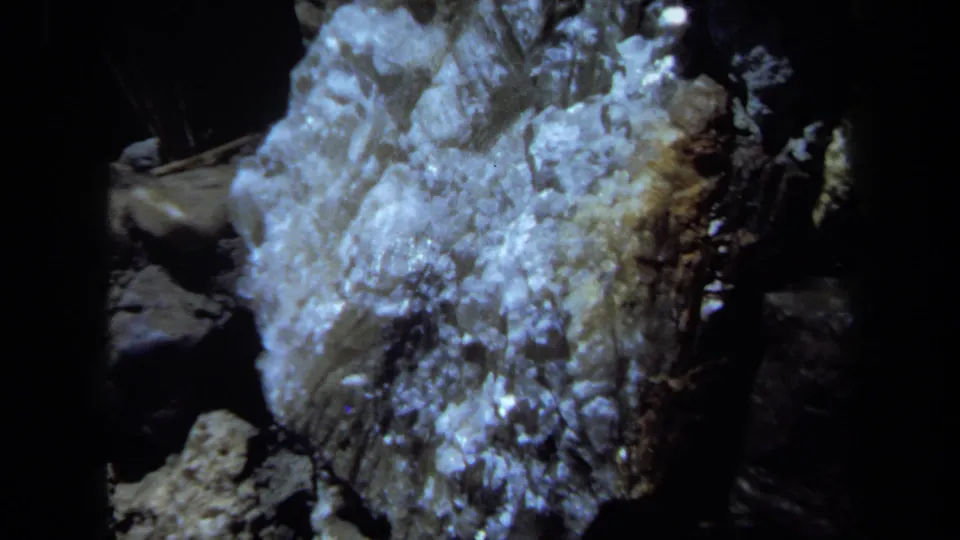 A rough white-gray crystalline rock surface appears after the flower shot in the Maine 1971 home movie.