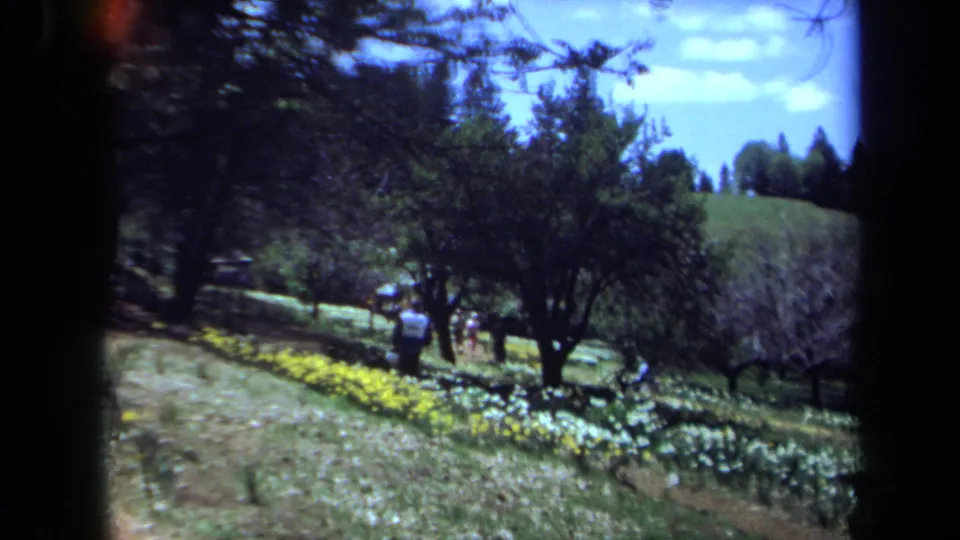 Maine 1971 8mm frame with visitors walking near bright flower beds beneath trees on a sunlit garden slope.