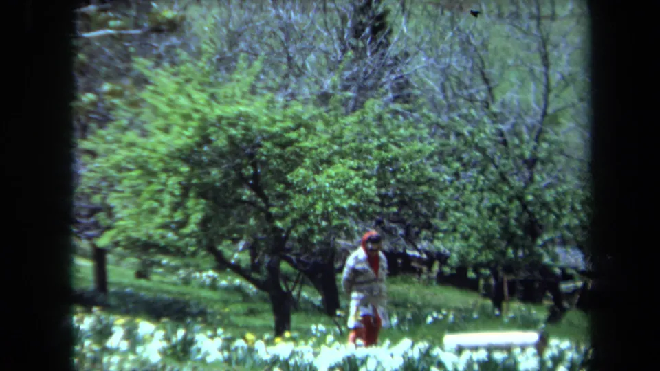 Maine 1971 8mm frame showing a woman in light clothing and a red headscarf near low white flowers and orchard-like trees.