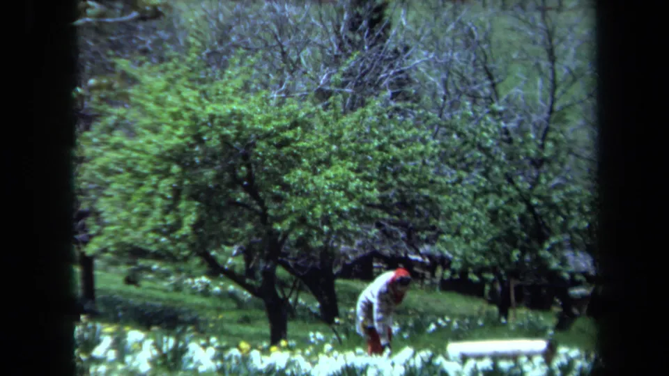 Maine 1971 8mm frame of a woman in a red headscarf bending to look at flowers in a green spring garden.