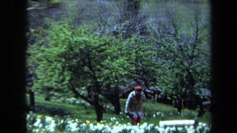 1971 Maine home-movie frame with a woman in red pants moving beside flowering beds under trees.