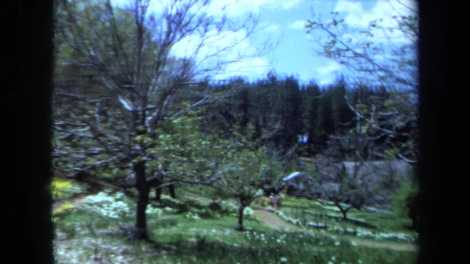 1971 Maine 8mm frame showing a wider garden panorama with flowering beds, trees, hillside grass, and distant woods.