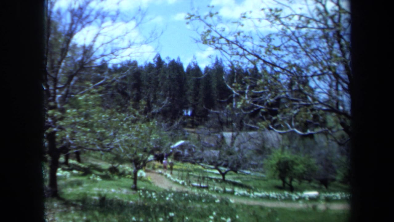 1971 Maine 8mm frame of a winding garden path bordered by grass, bare branches, and evergreen trees under blue sky.