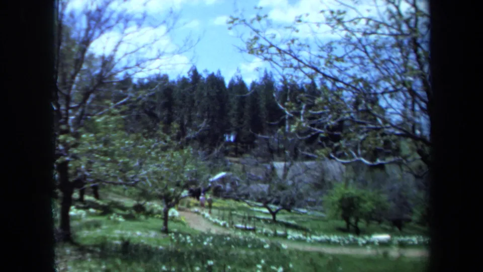 1971 Maine 8mm frame of a winding garden path bordered by grass, bare branches, and evergreen trees under blue sky.