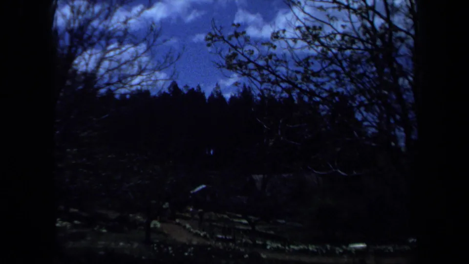 Underexposed 1971 Maine 8mm frame showing the garden path, silhouetted branches, and wooded hillside.