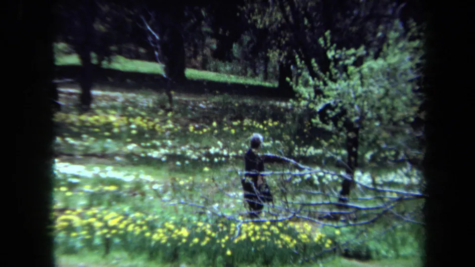 1971 Maine 8mm frame with a distant person walking by a low fence amid yellow flowers, grass, and spring trees.